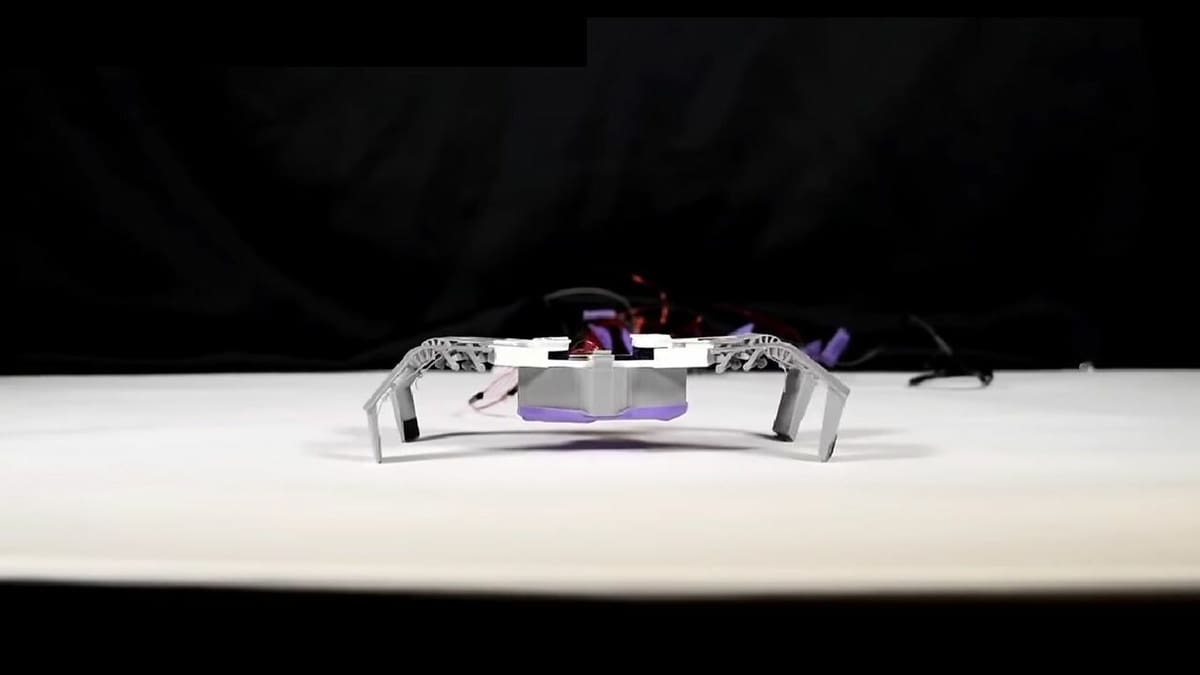 Walk like a bug, move like a compliant mechanism