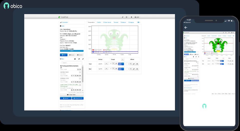 Remote access from anywhere with Obico
