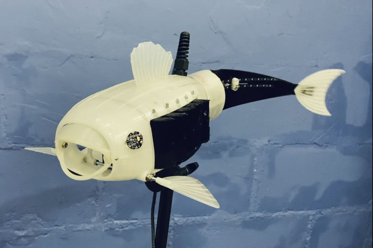 Imagen de Proyectos con Arduino / Proyectos de Arduino: Gillbert, el pez comeplástico