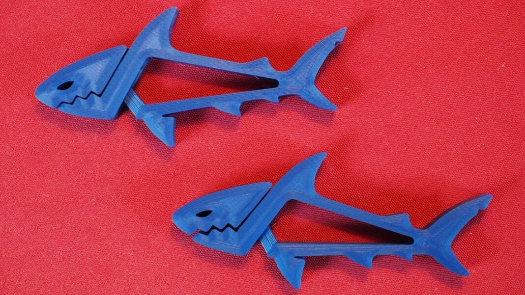 It's a friendly shark attack