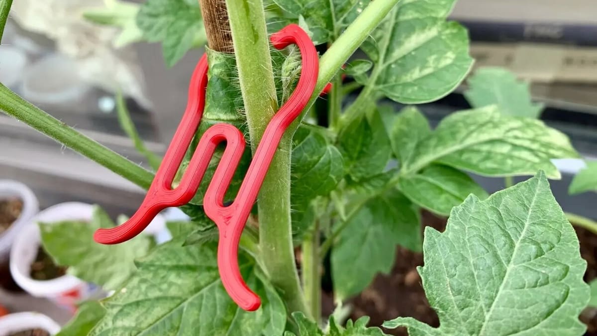 A fantastic way to support your plant's growth