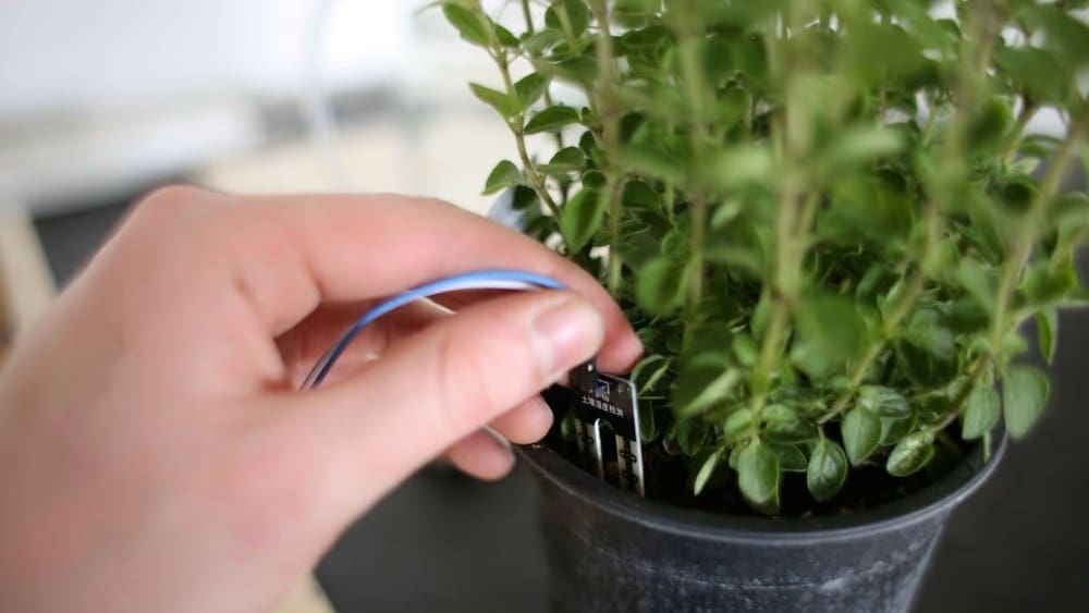 Setting up the watering system