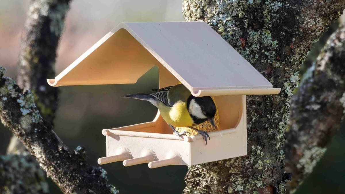 Image of: 14. Birdhouse Feeder