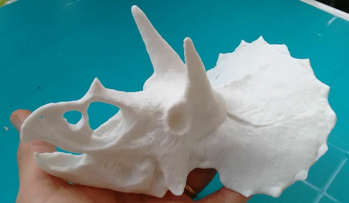 From the fossil to the 3D printer
