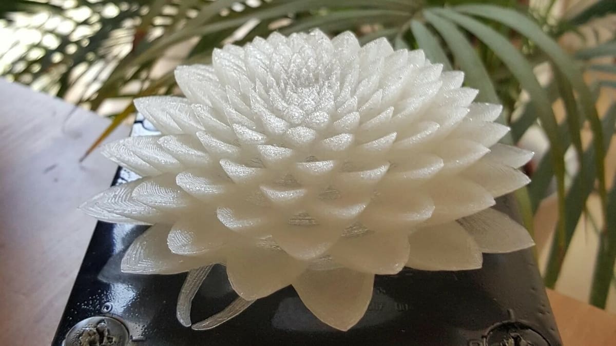 The golden ratio, which is found in nature, is the inspiration for Blooms' animation