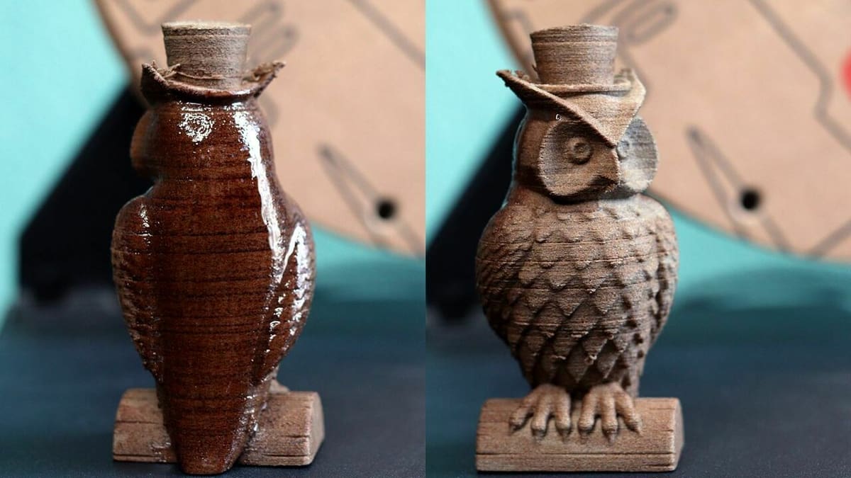 This owl cannot turn its head 180°