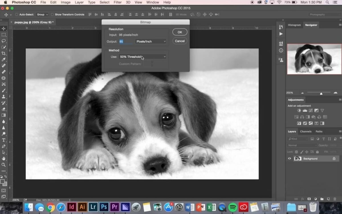 You can easily convert your target photo into a Bitmap (BMP) file