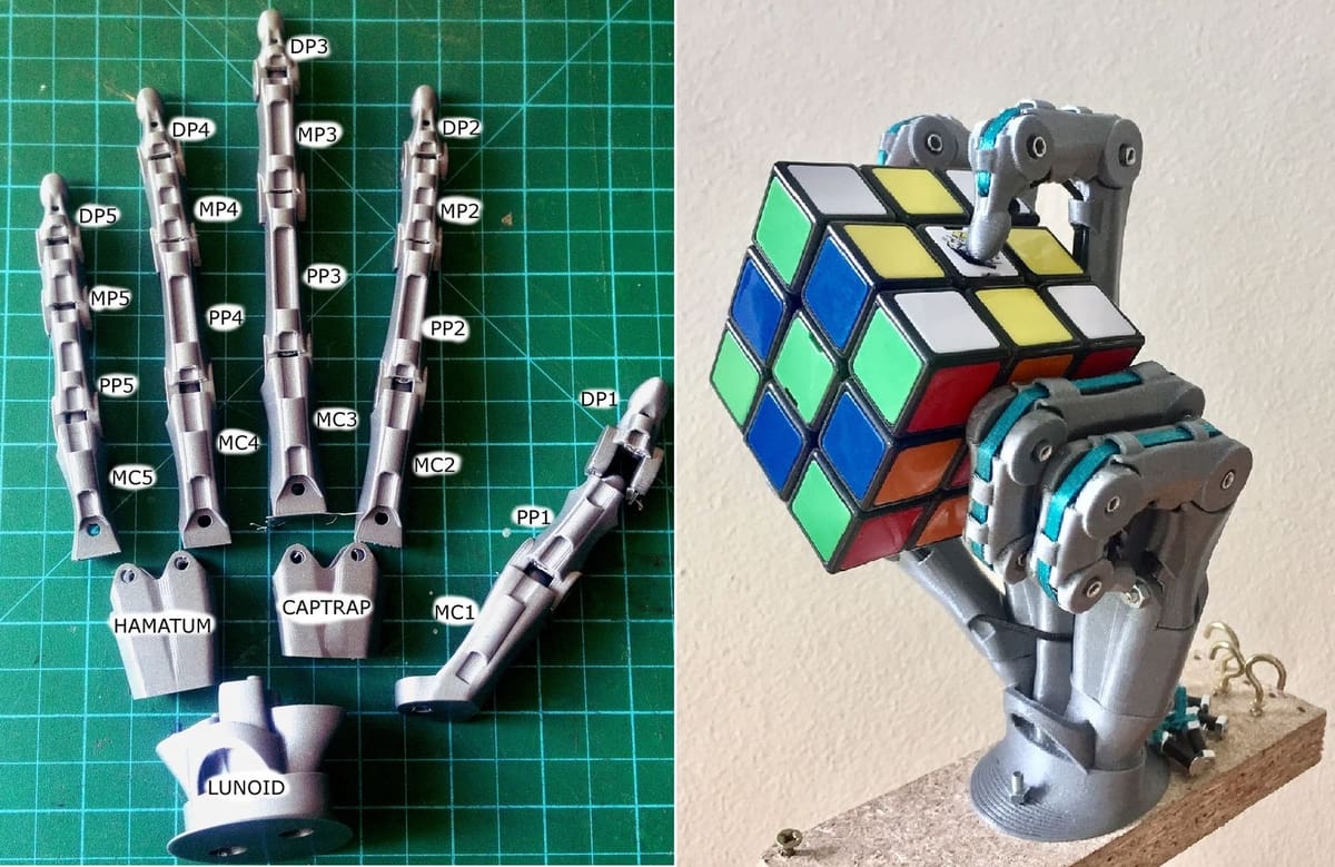 Image of: 6. Bionic Hand Skeleton 