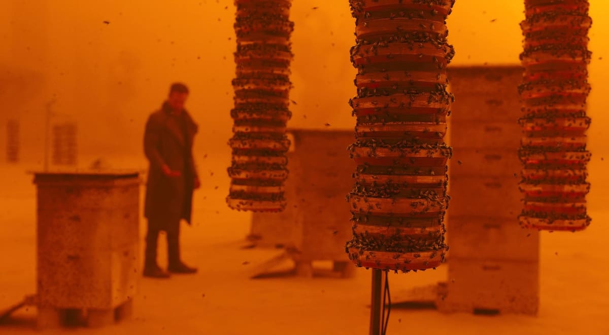 The CGI in Blade Runner 2049 was created using Maya!