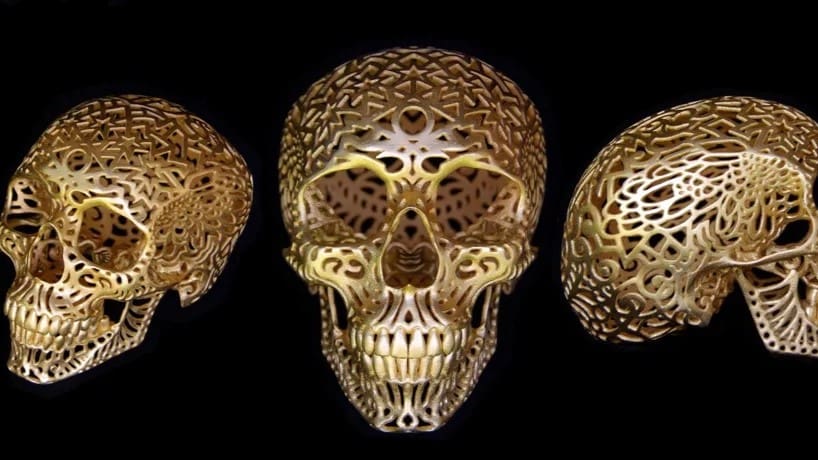 No two skulls are the same