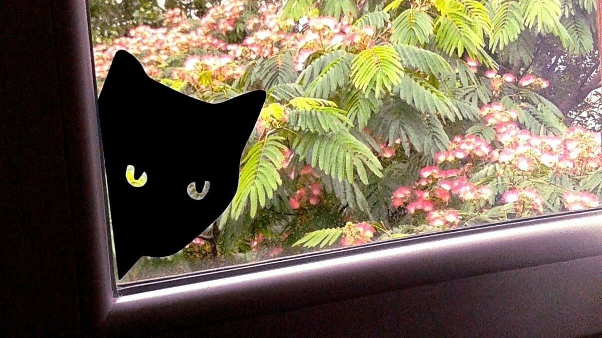 I'm watching you!