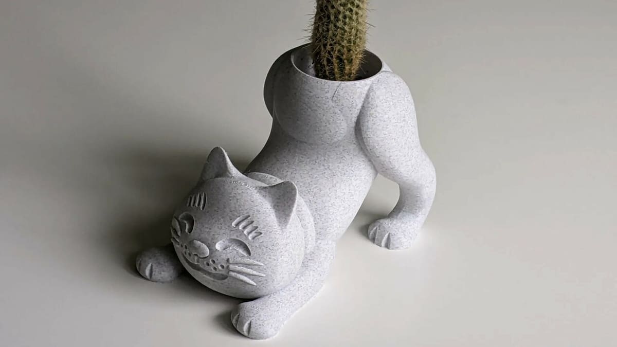 Here's one happy cat