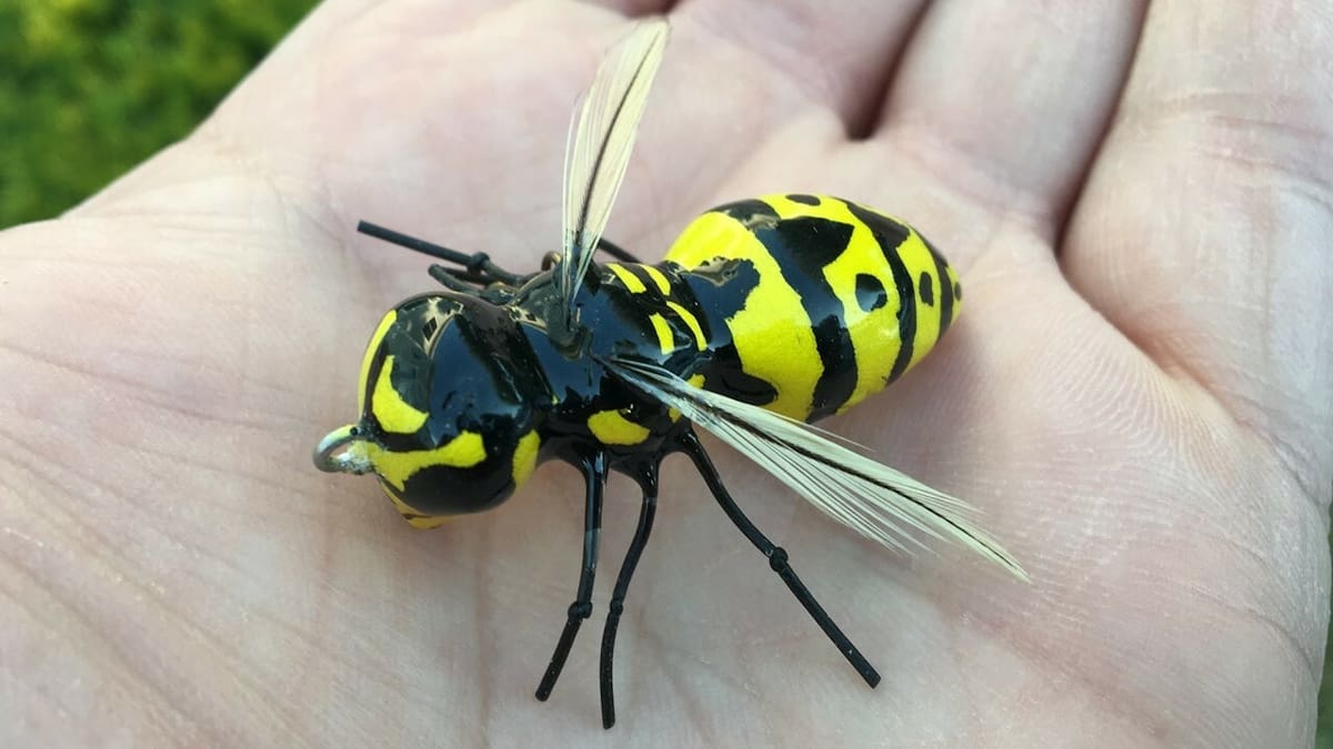Bee a master fisherman with this lure
