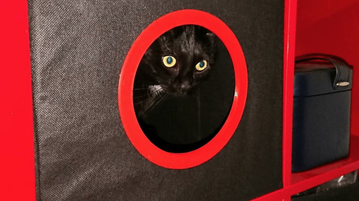 The cat is out of the bag, this box is better