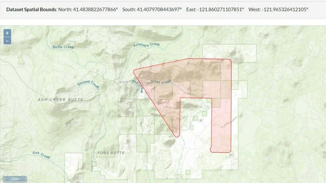 A lidar scan of forested area