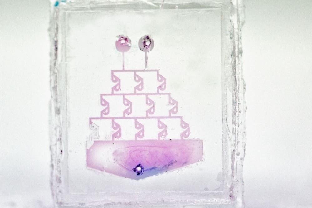 Image of: Glass from Resin