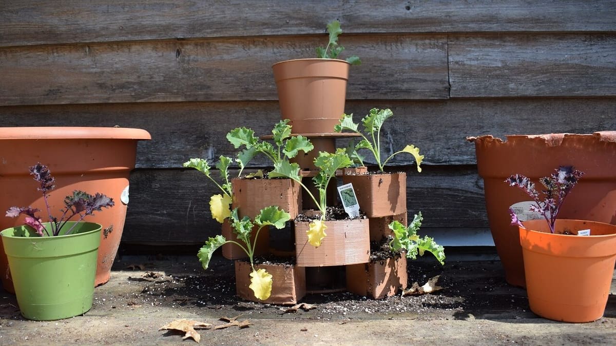 A new take on growing your collection of used spools