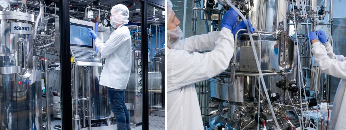 Image of 3D printed meat: What is 3D Printed Meat Made Of?