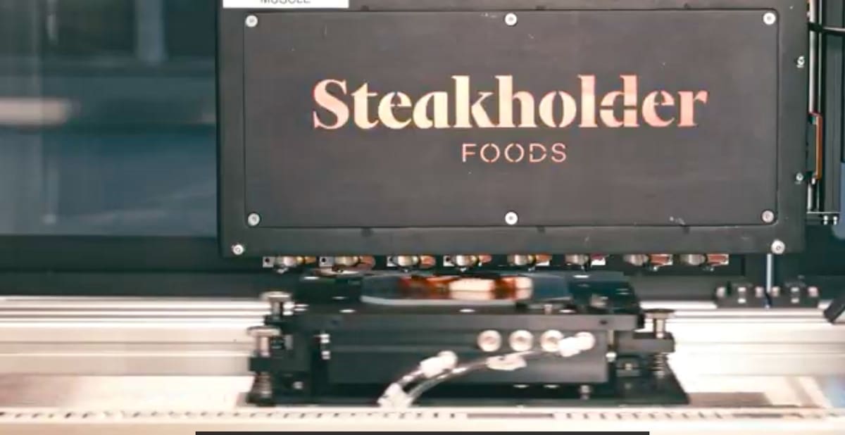 Image of 3D printed meat: How is 3D Printed Meat 3D Printed