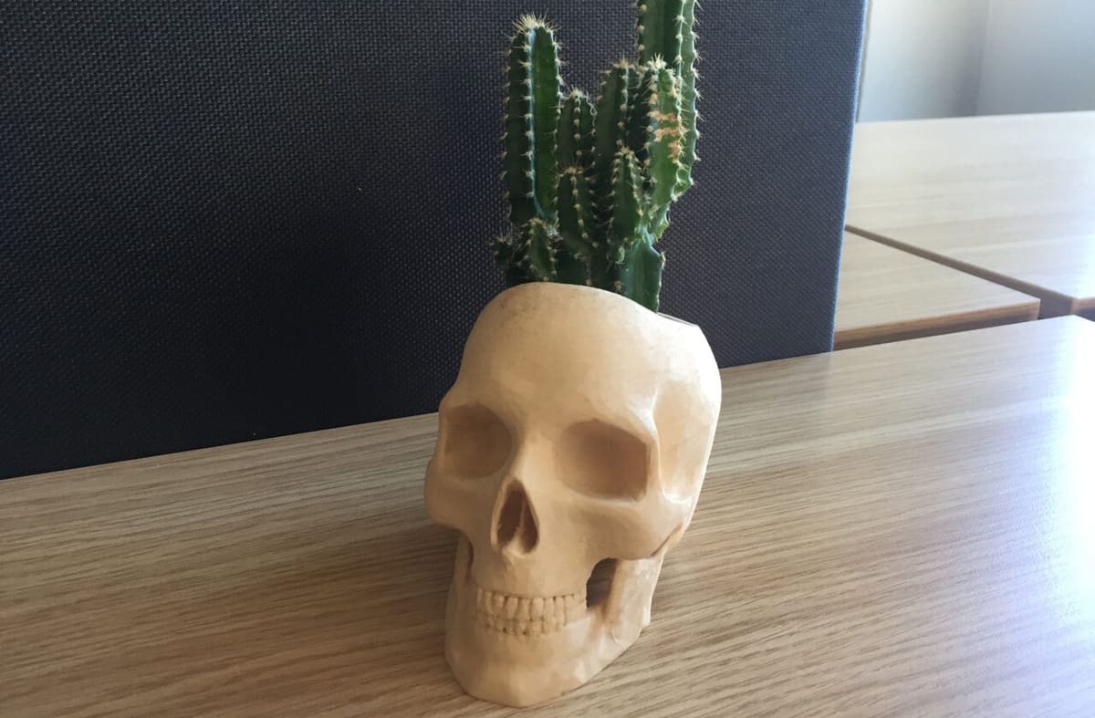 Off with his... skull planter