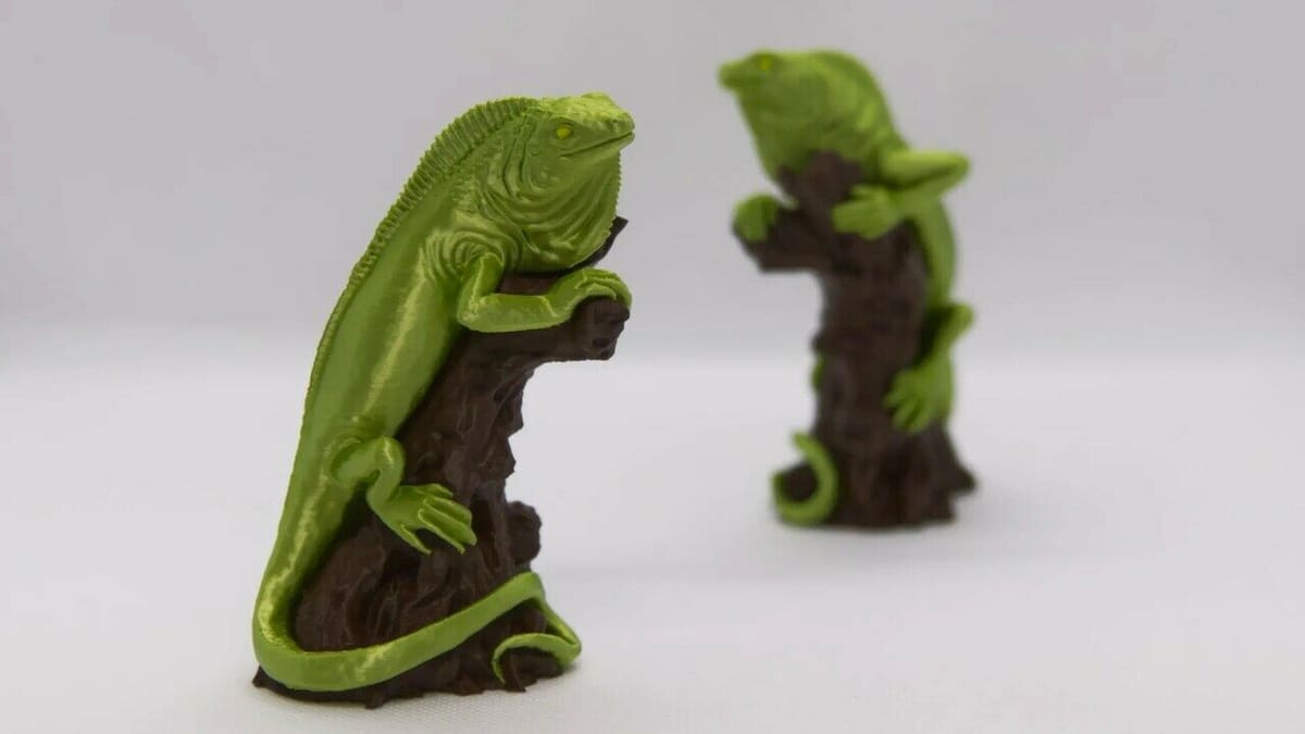 You won't need a terrarium for this little one