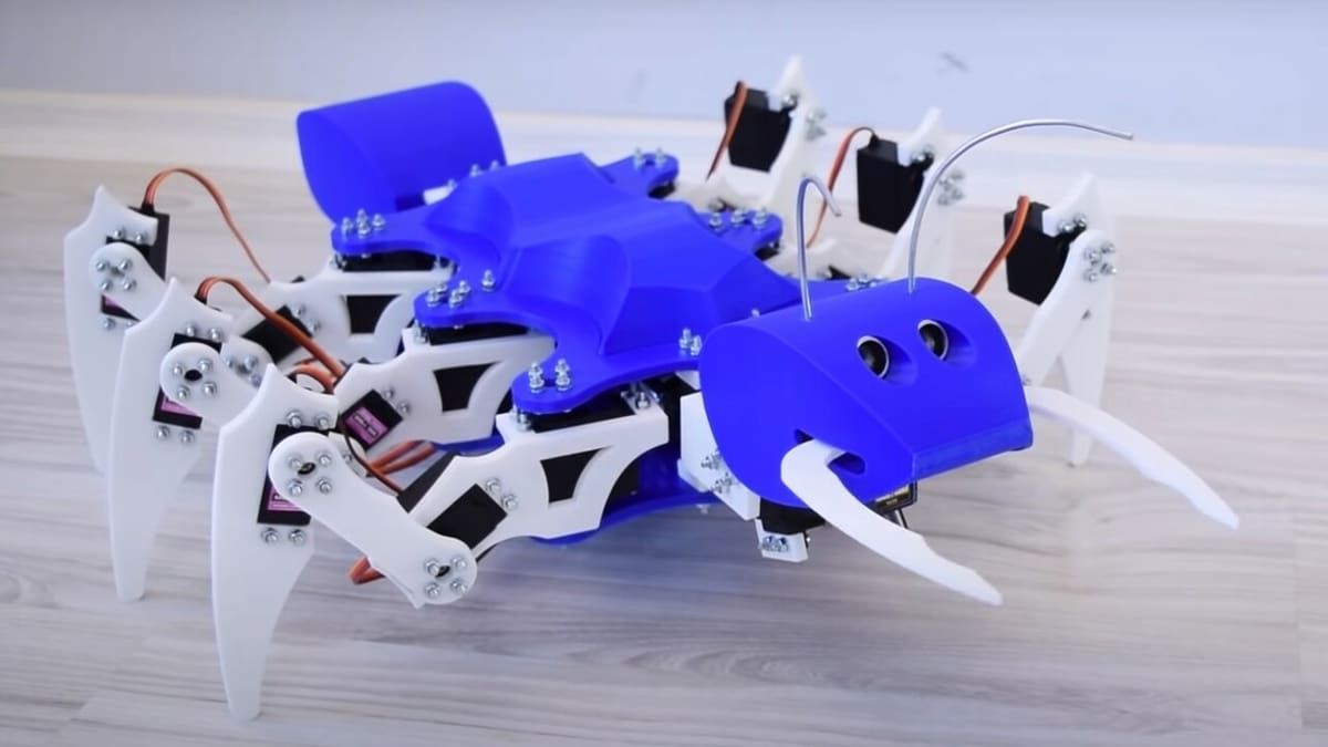 The mother of all ants
