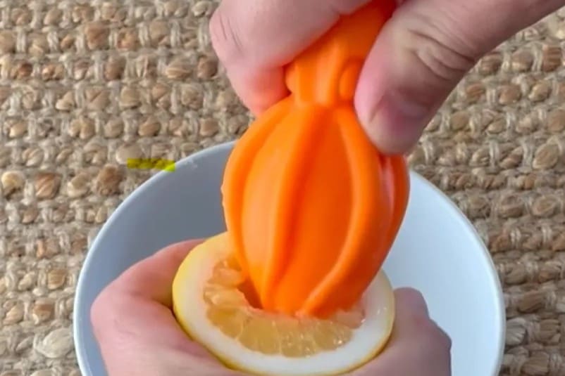 Image of: 10. Squid Citrus Juicer
