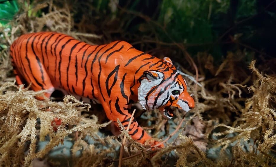 Just a really big cat...