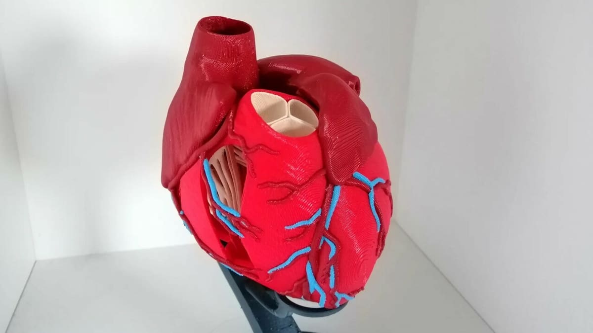 Anatomy lessons in 3D