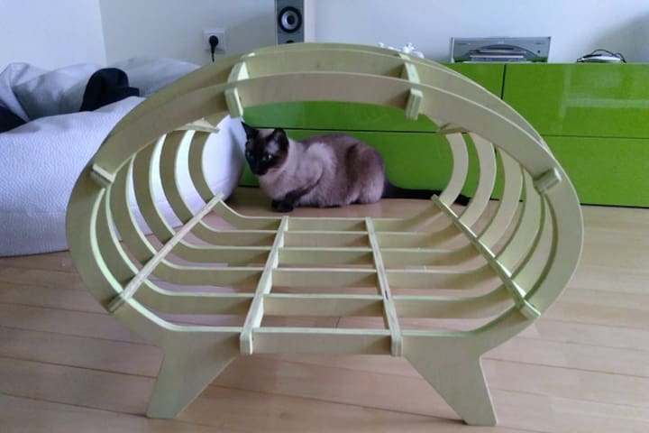 What about furniture for pets?
