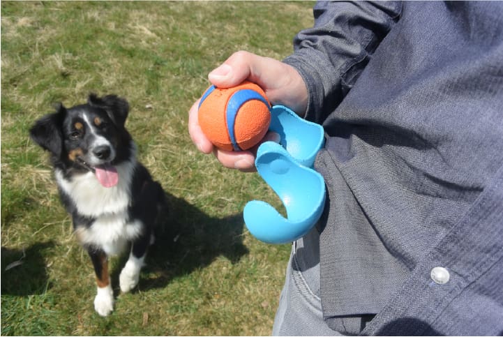 Carry those slobber covered balls a little more hands free