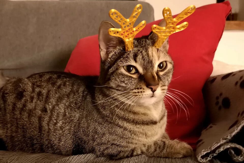 A great way to get every member of the family involved this Christmas