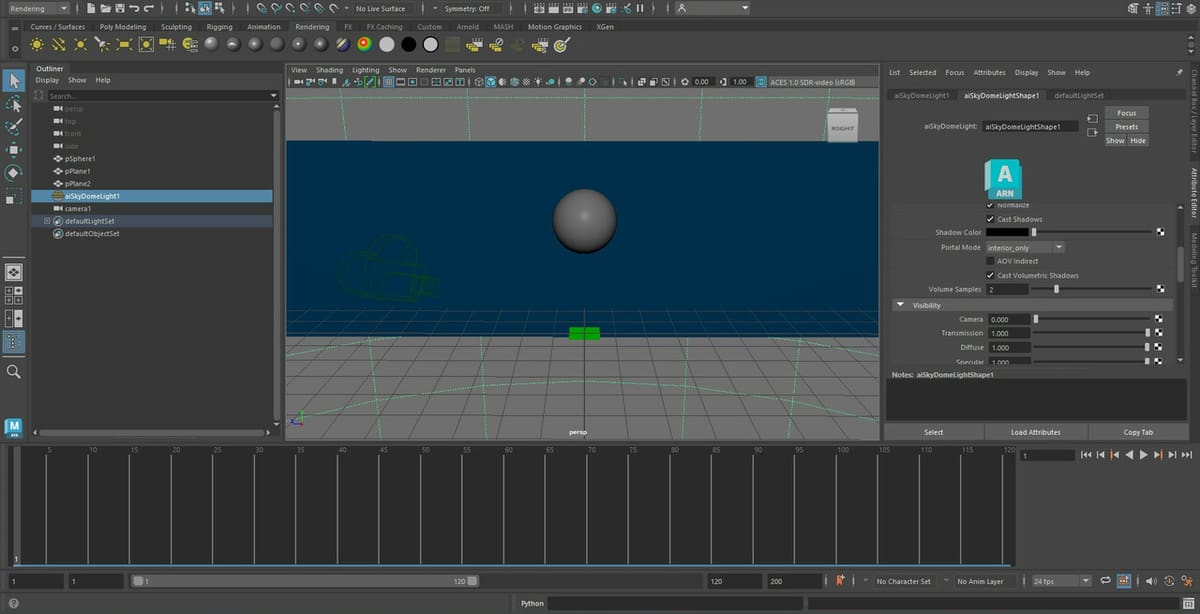 Maya's general workspace