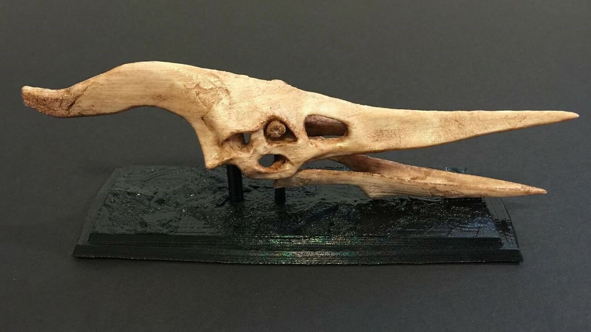 Made to look like a real fossil