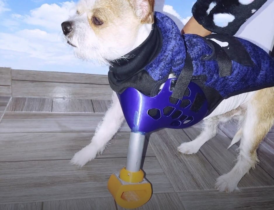 A full 3D printed anatomical design, this project provides comfort for tripod dogs