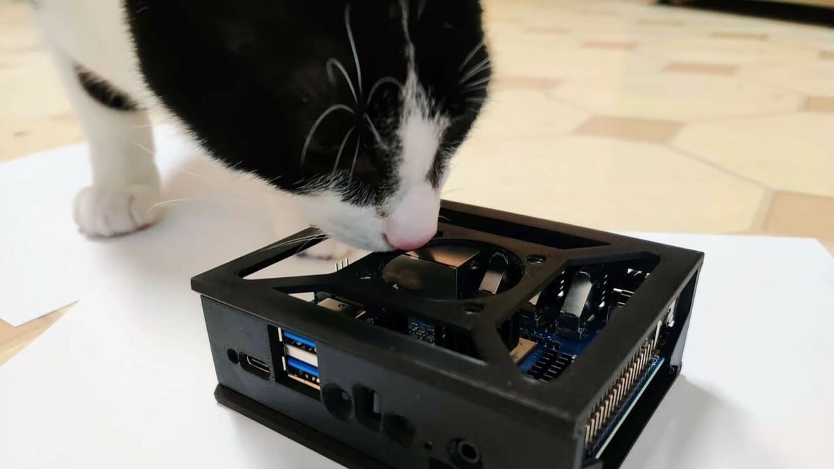 Kitty wants to know what you'll be using the Pi for