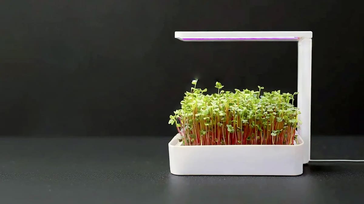 Foto de Projetos para impressora 3D: coisas para imprimir em 3D: Cultivador de microverdes