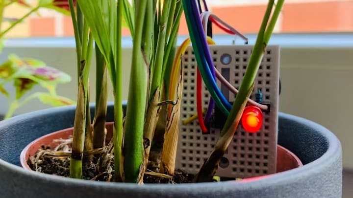 The soil moisture sensor's LED will tell you when your plants need water