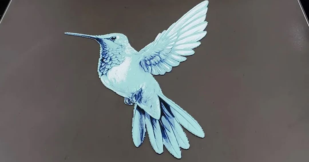 Can it fly?