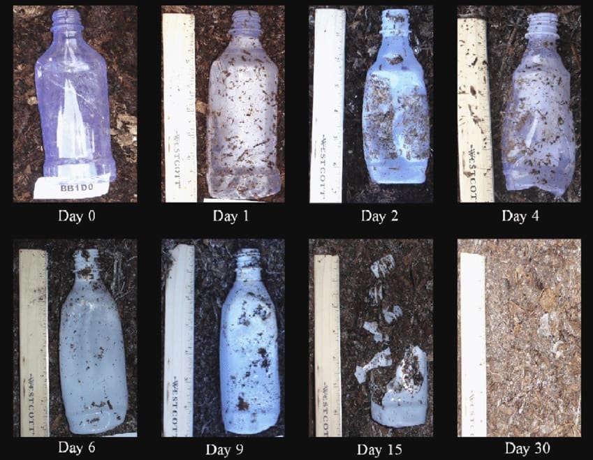 PLA does biodegrade effectively in industrial composting conditions