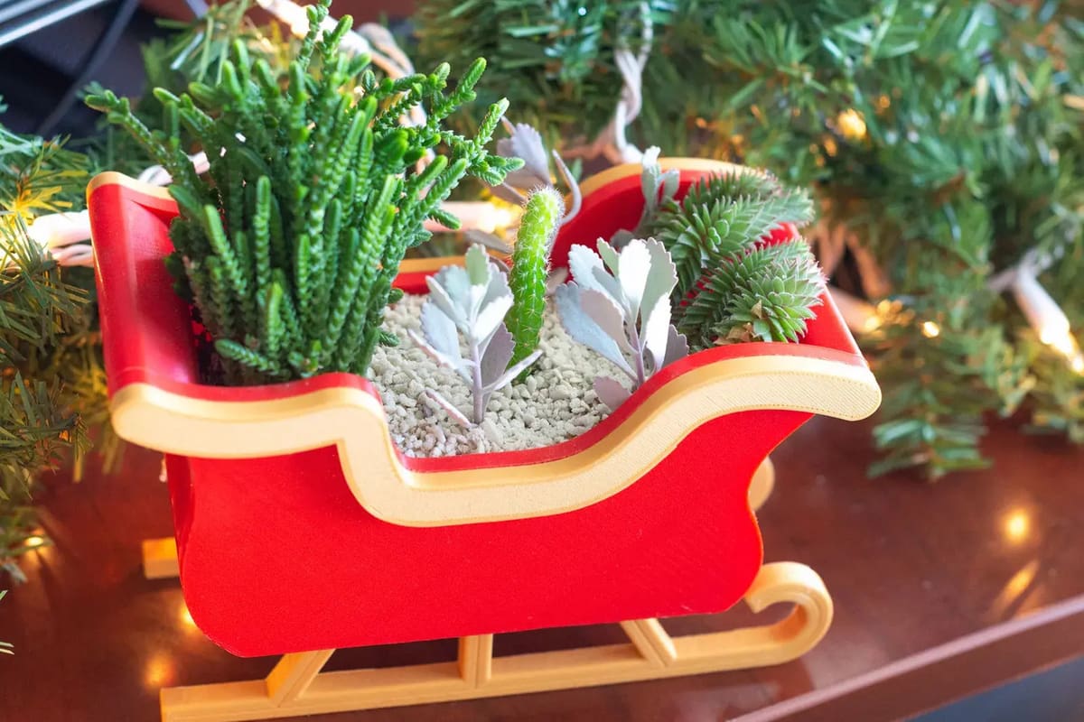 Great for indoor evergreens like succulents