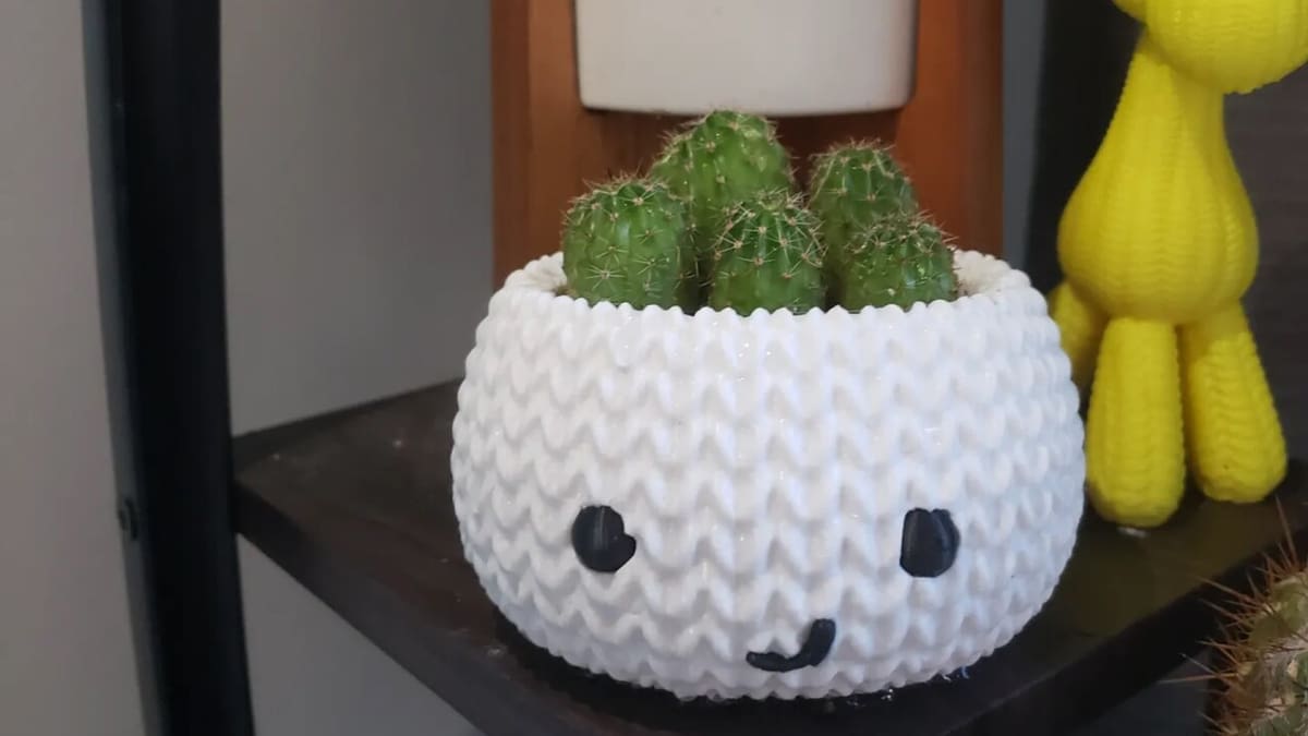 The perfect home for your new plant