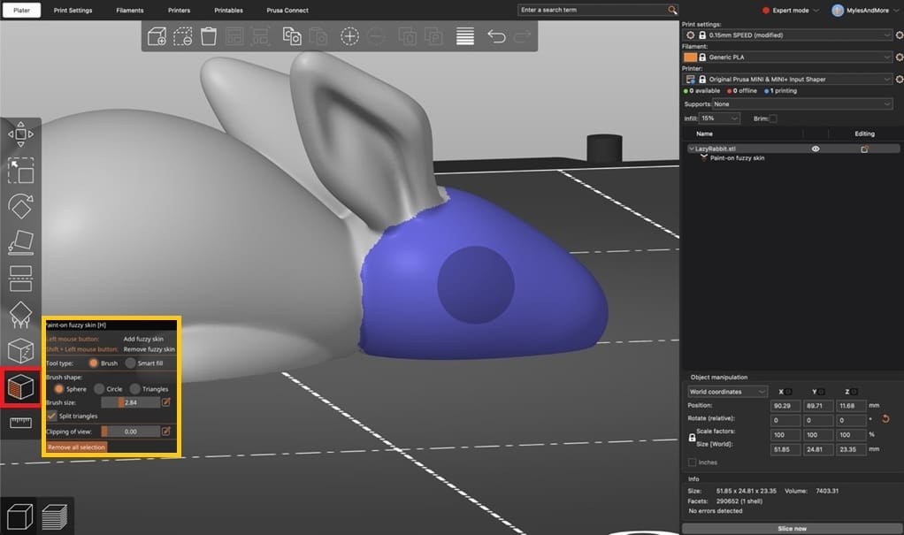 Paint fuzzy skin conditionally onto models