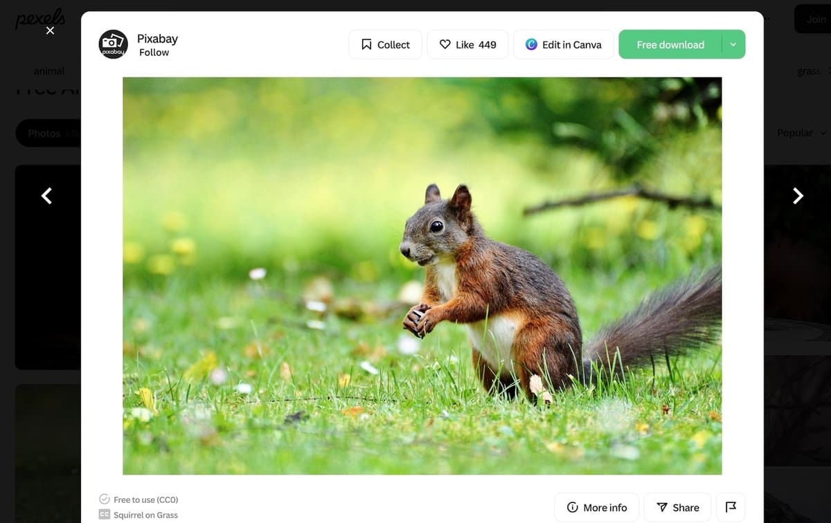 Find references to model all the beautiful animals