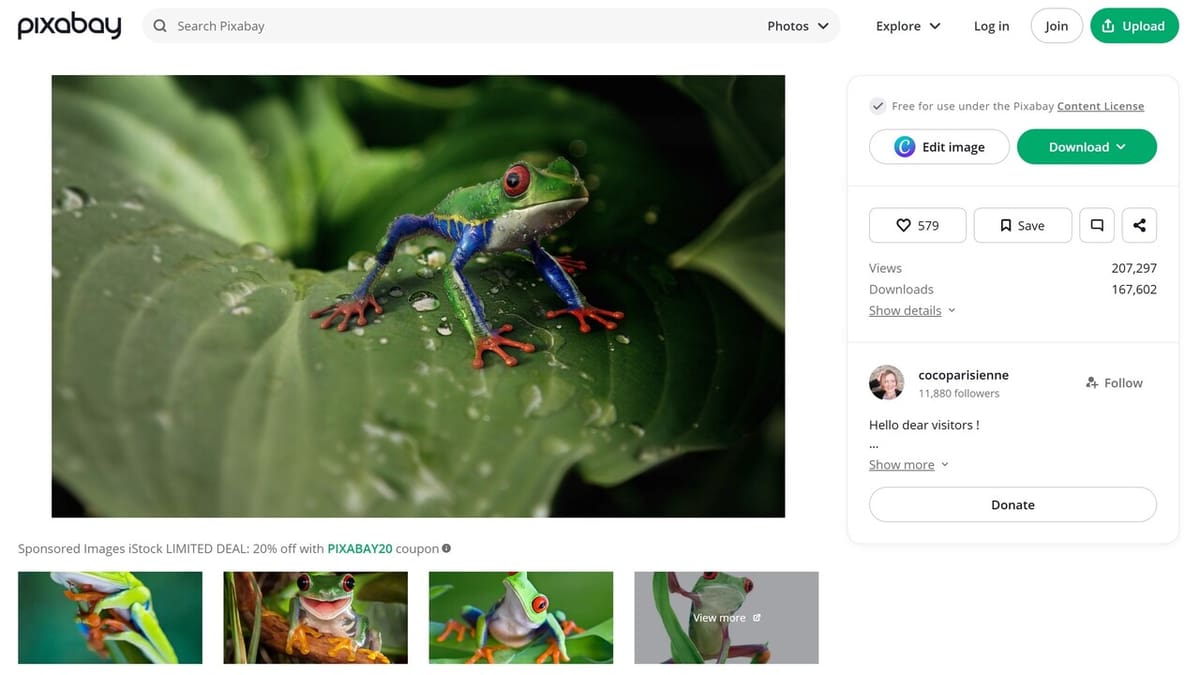 Use Pixabay to model cool animals like this beautiful tree frog!