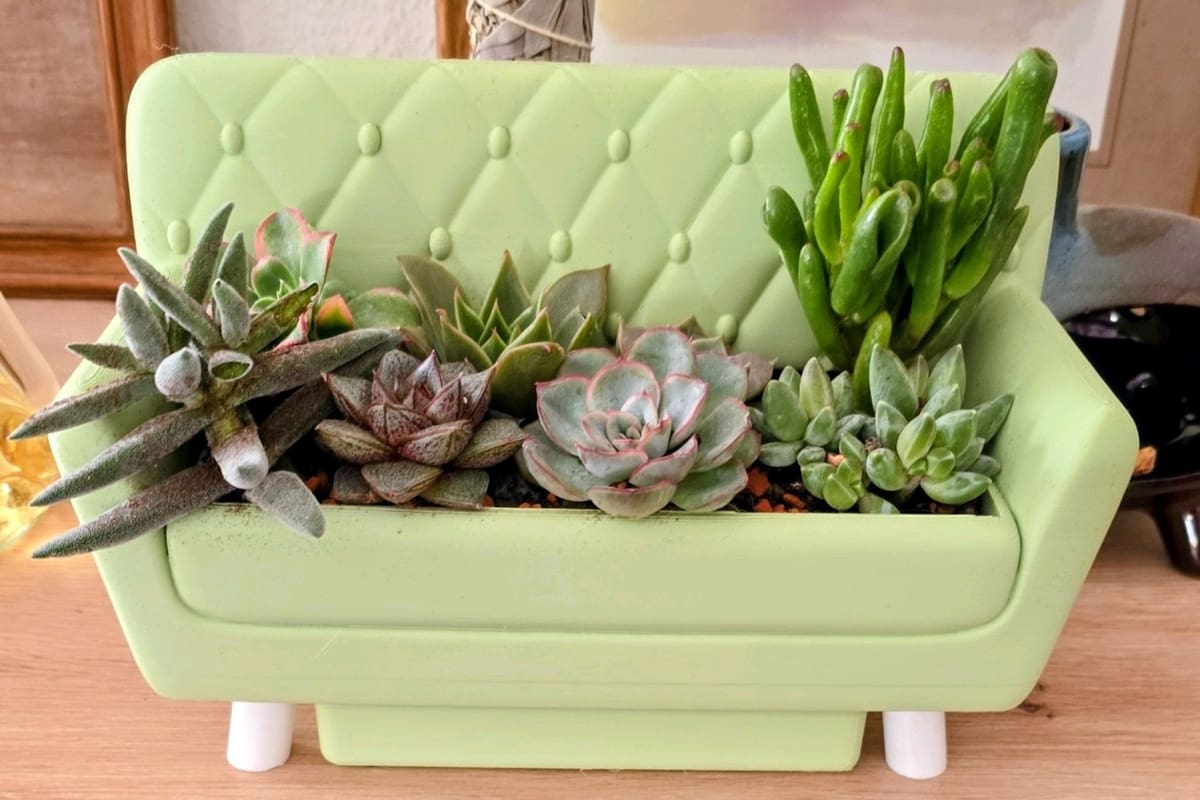 Image of: 12. Couch