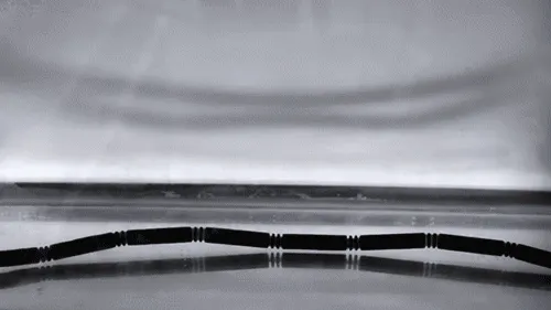 Want to try this at home?