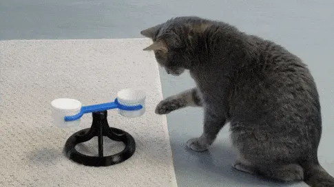 Image of: 6. Spinning Toy