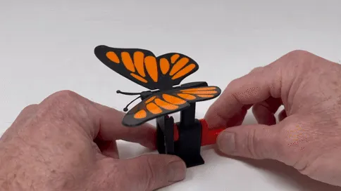 Image of: 19. Butterfly Automaton