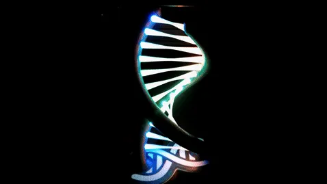 Imagen de: 12. RGB de doble hélice
